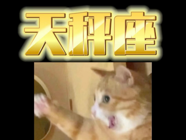 揭露天秤坏狗的恶行