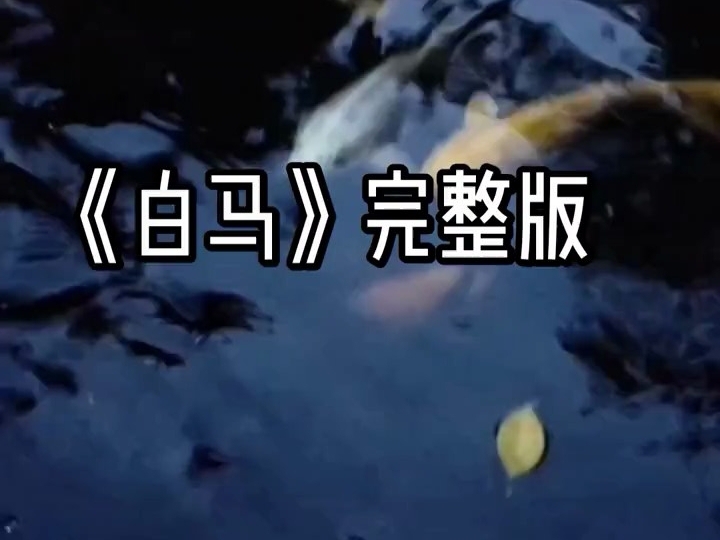 白马