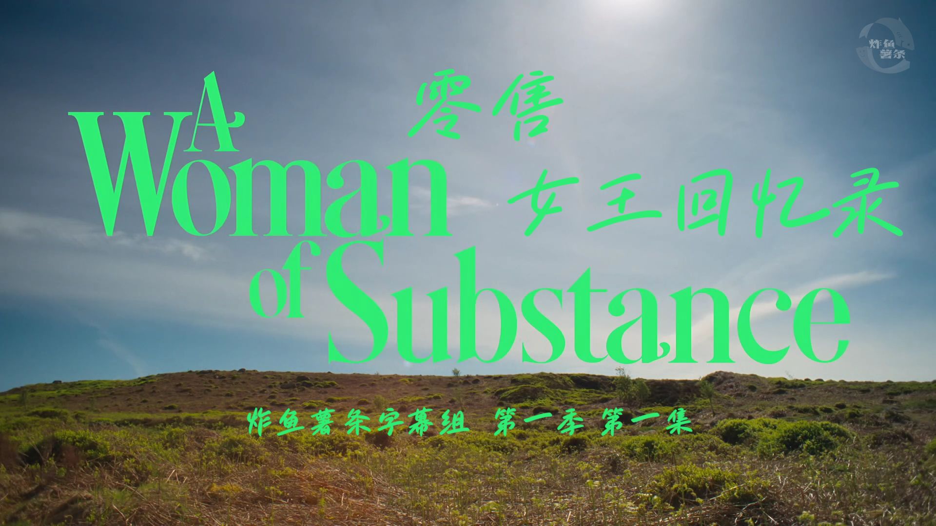 零售女王回忆录 A Woman of Substance 第1季第1集 [女性][剧情][炸鱼薯条字幕组][中英特效字幕]{一个真正的女人}{红粉大亨}