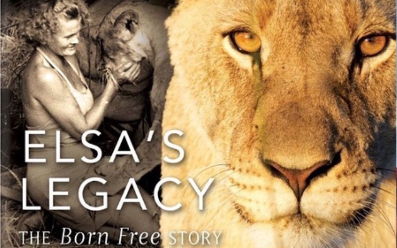 【PBS】自然系列 艾尔莎的遗产：生而自由的故事 双语字幕 Elsa's Legacy The Born Free Story (2011)