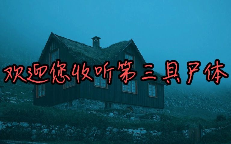 【有声书】《第三具尸体》睡前故事丨睡不着系列 恐怖惊悚