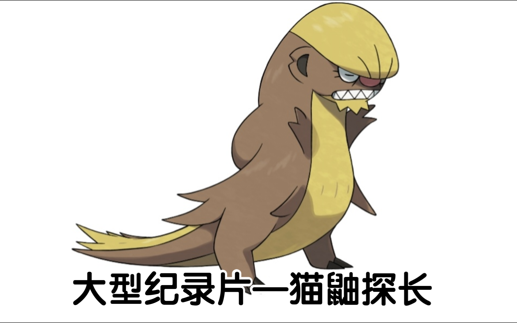宝可梦大型纪录片—猫鼬探长传奇
