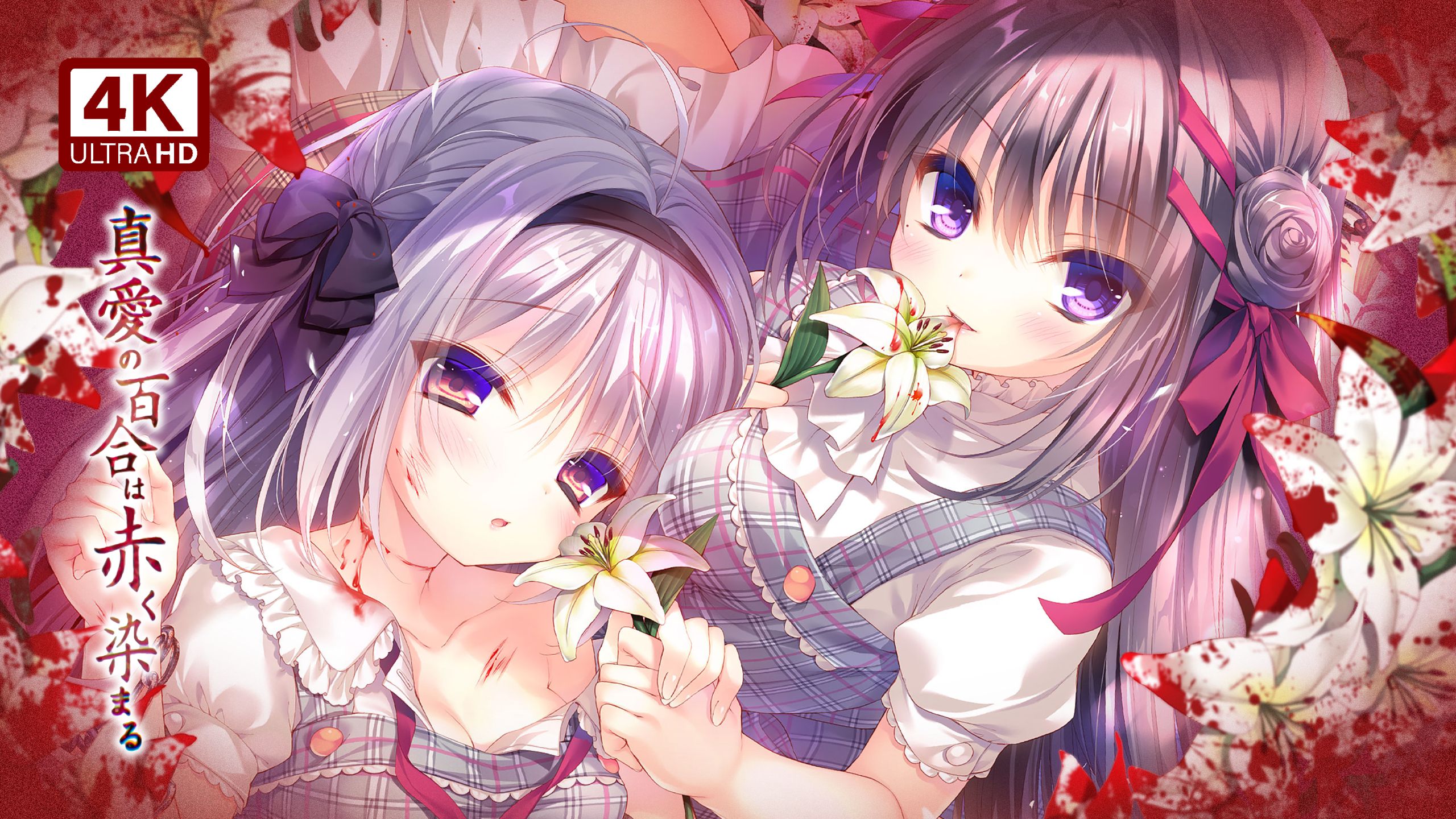 【沉浸版 完结】《真爱百合/真愛の百合は赤く染まる》