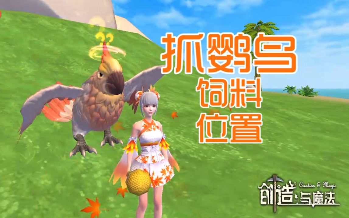教你轻轻松松抓云斑鹦鸟！恬恬解说创造与魔法抓飞行宠物鹦鸟饲料位置在哪