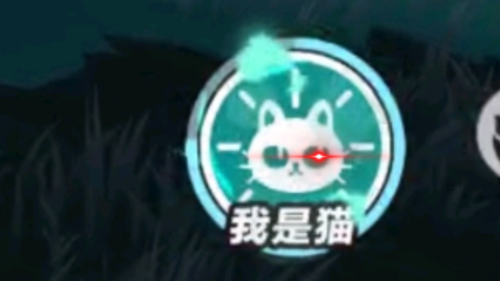用猫咪打车队就是好。
