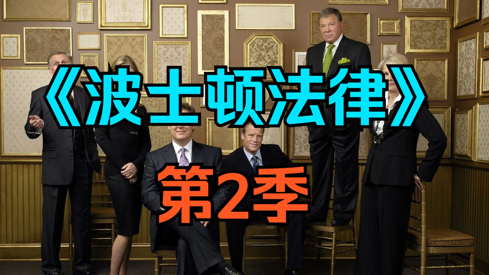 [电视剧] 美剧《波士顿法律》第2季「共27集」