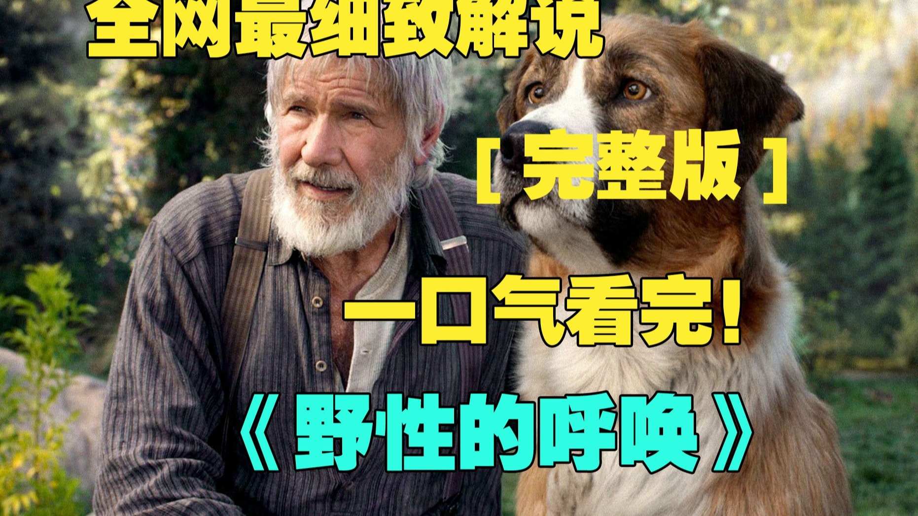 一口气看完4K画质神作《野性的呼唤》巴克是一只骨骼壮硕身材强壮的狗，本来在大法官家里过养尊处优的生活的它，被园丁偷走，卖到了严寒的阿拉斯加，成为了雪橇犬