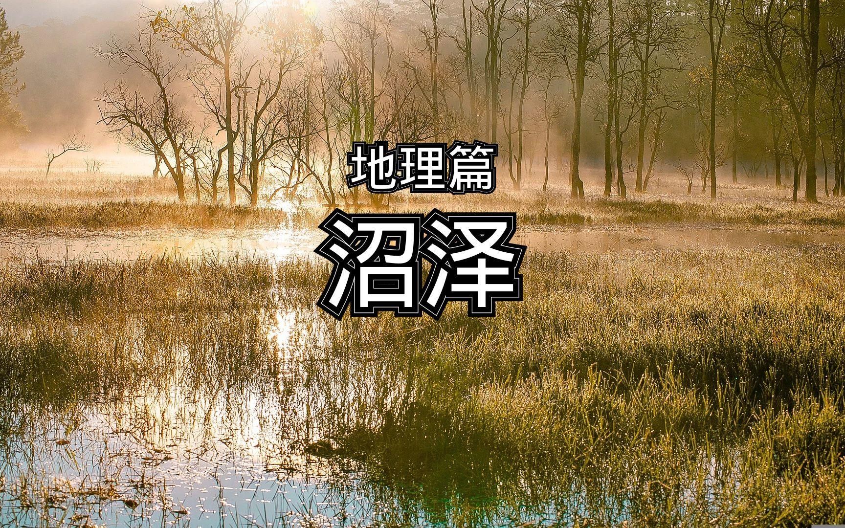 百科全书-地理篇-地貌-沼泽 简介