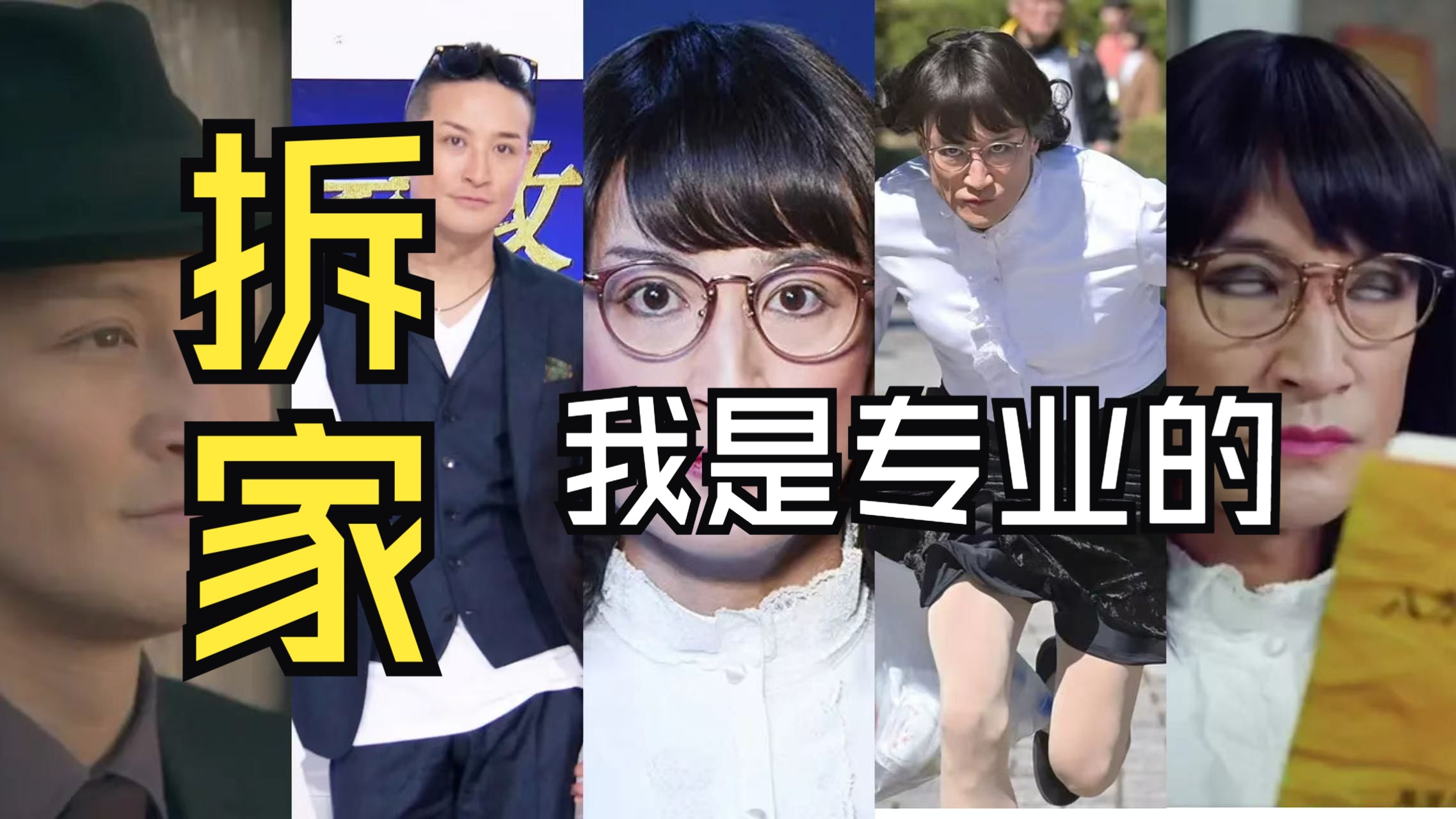 一口气看完人形拆家犬一步步被驯化的过程！见证深夜档和黄金档的区别，以及包饺子的全球统一性！