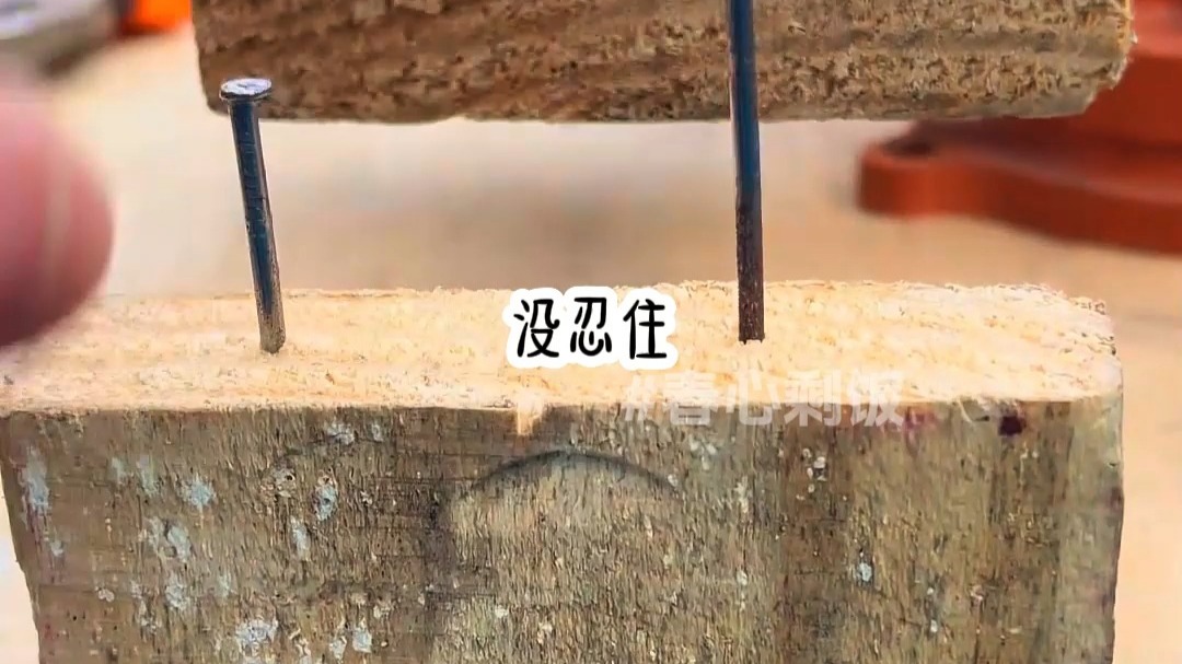 小说推荐《春心剩饭》