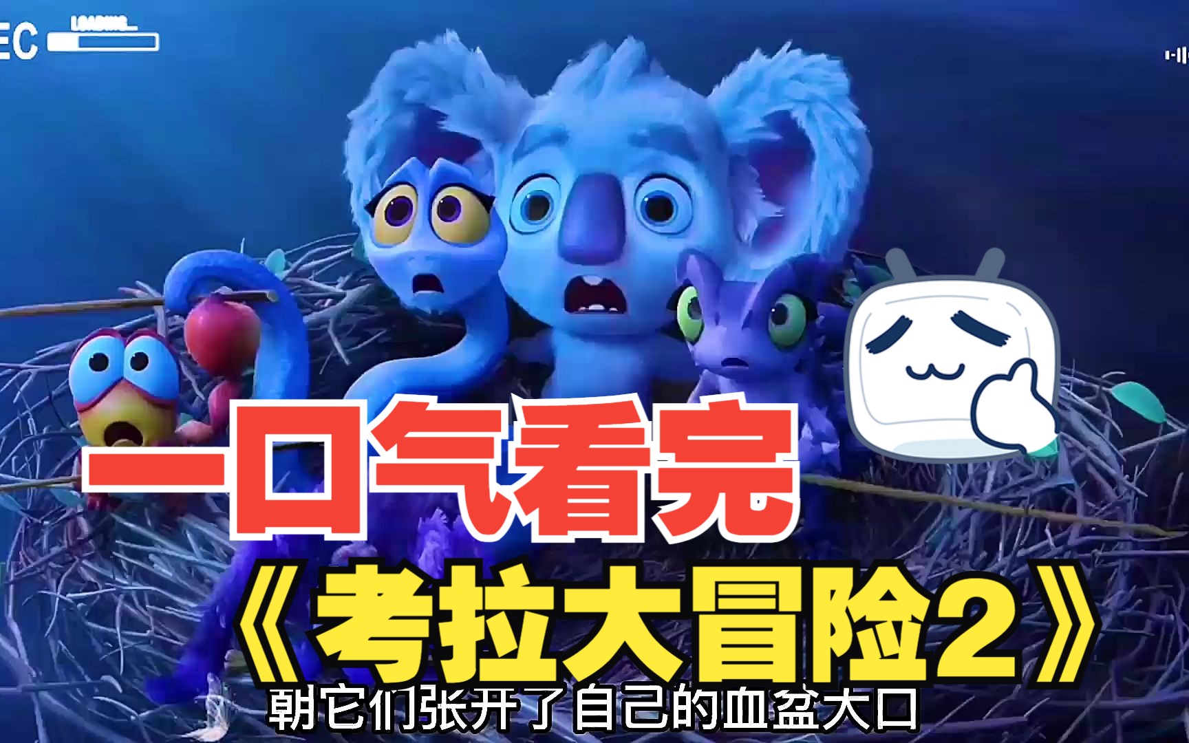 一口气看完《考拉大冒险2》