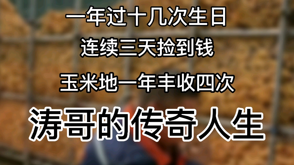 一年过十几次生日，连续三天捡到钱，玉米地一年丰收四次——涛哥的传奇人生