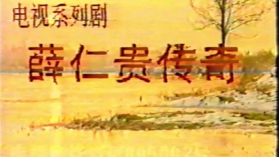 薛仁贵传奇 (1990)