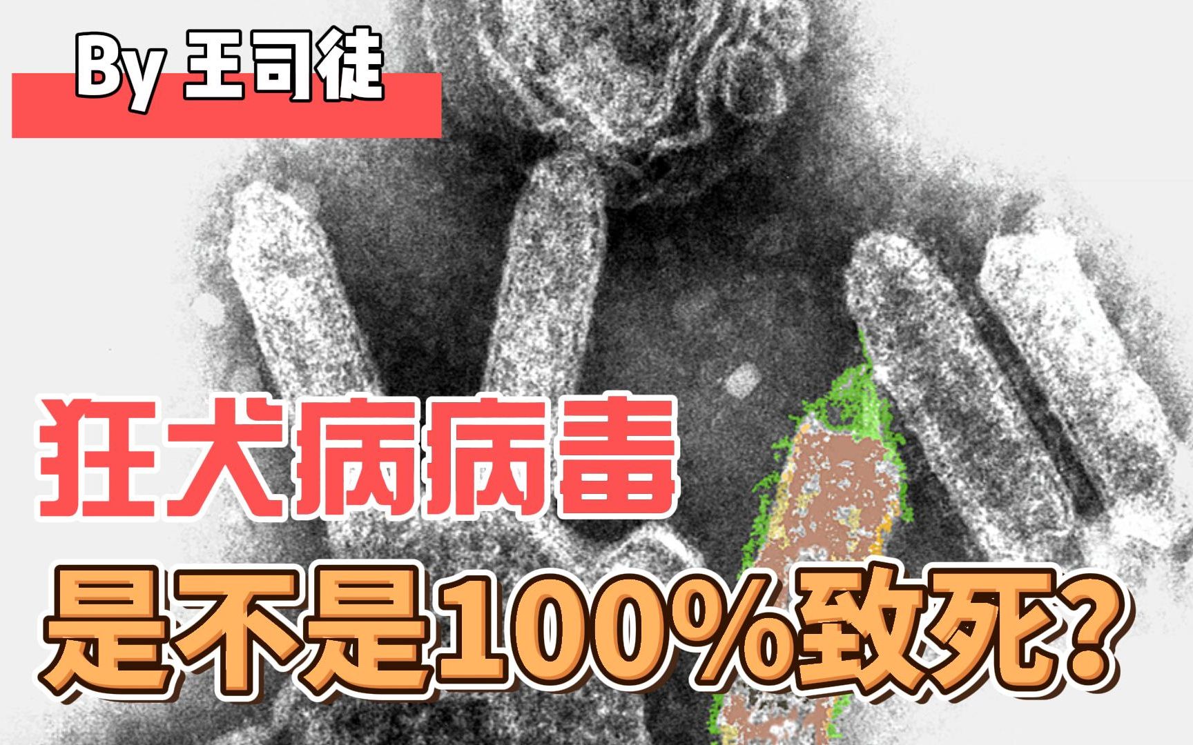 狂犬病致死率为什么不是100%？