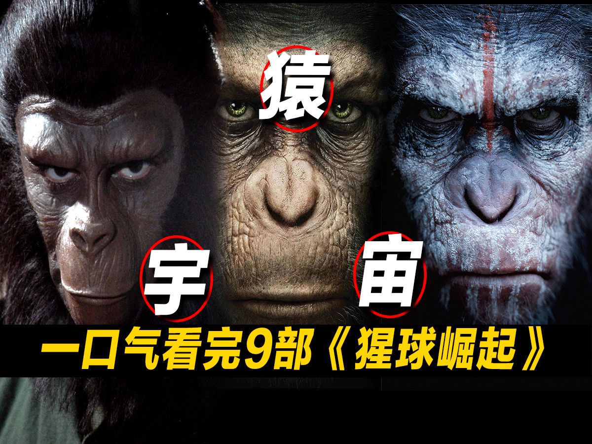 一口气看完9部《猩球崛起》！猩球宇宙经典科幻！无缝连接《猩球崛起4》