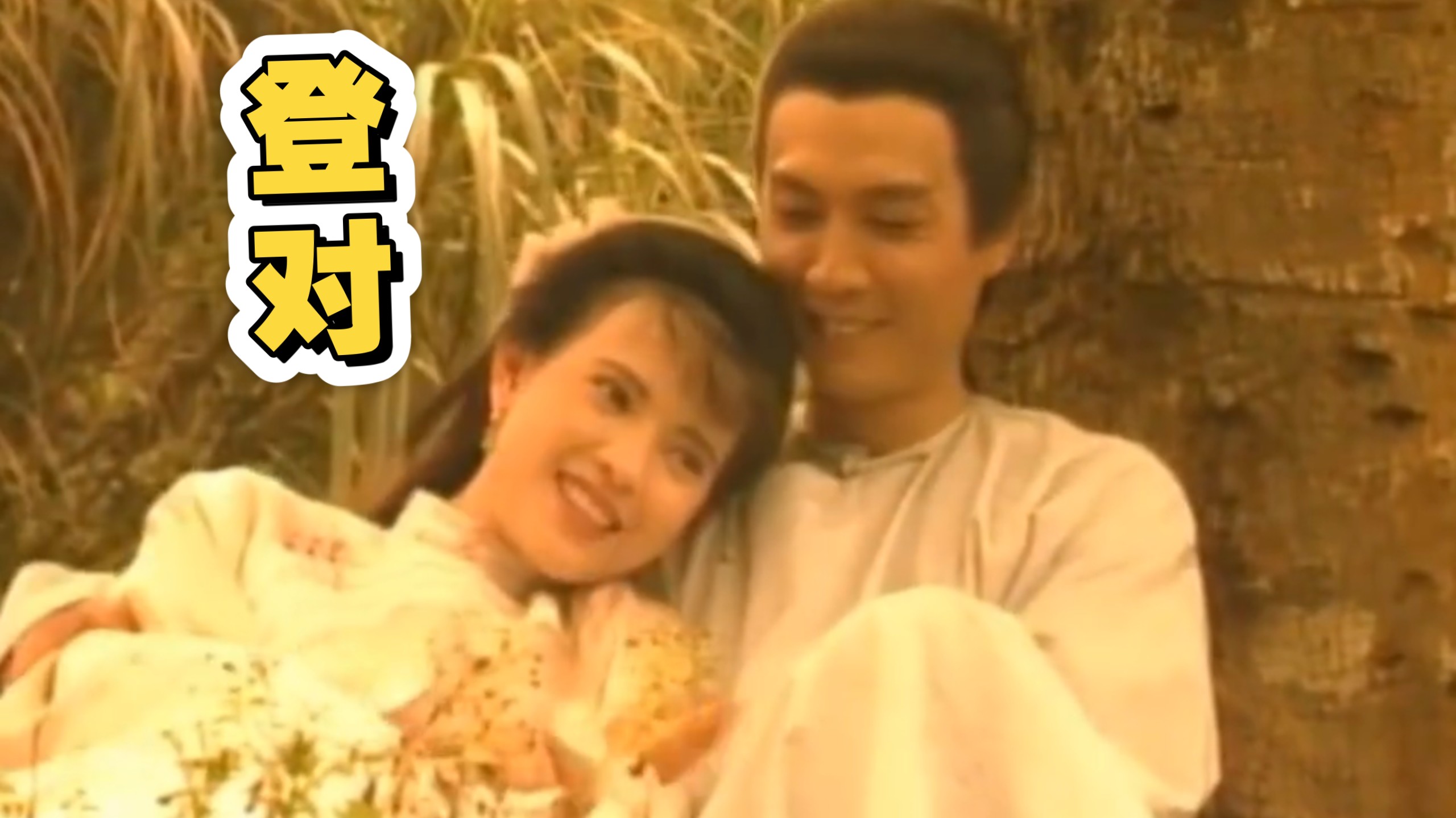 乱世中的一朵小白花 马素心