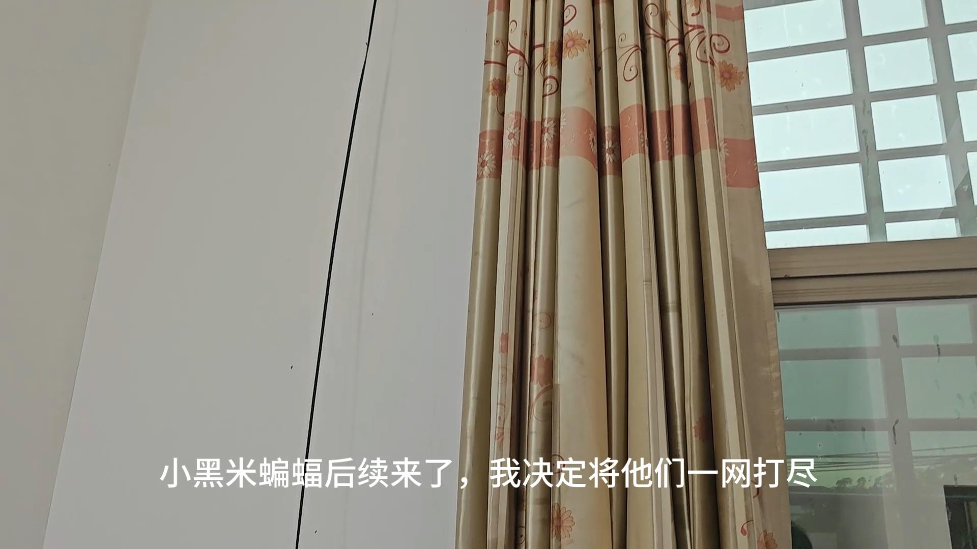 后续！与蝙蝠的最终决战，将他们一网打尽