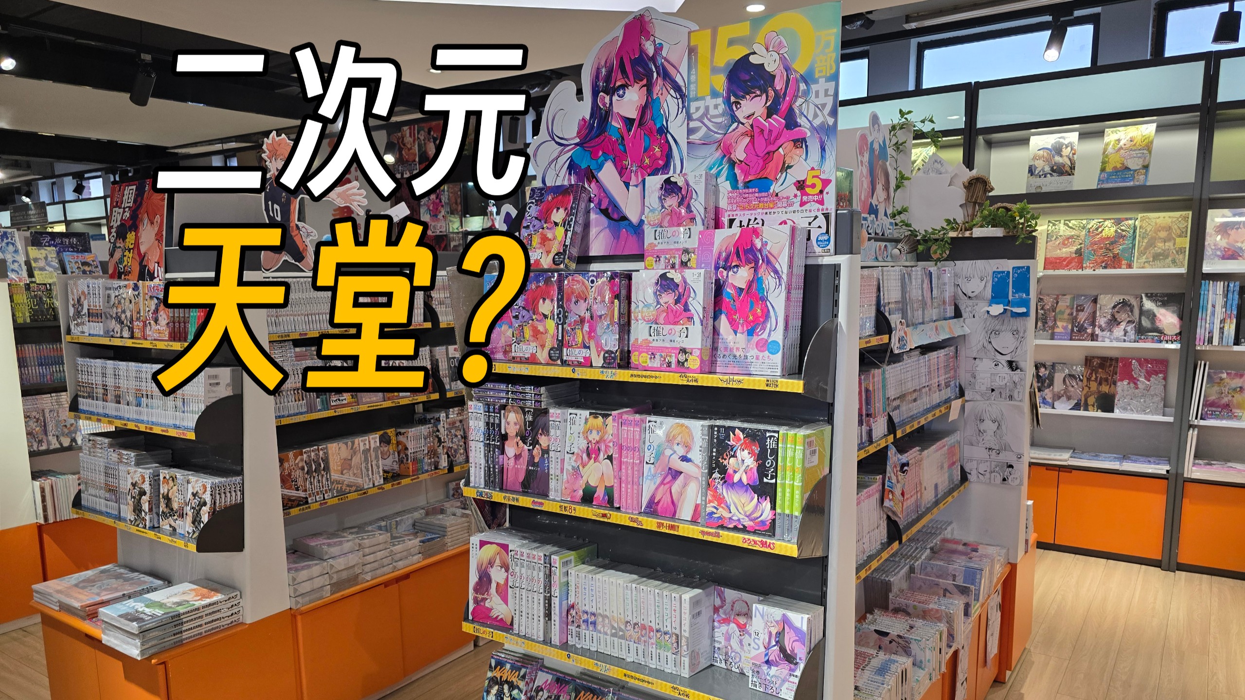 这真的是书店？上海外文书店也太二次元了！
