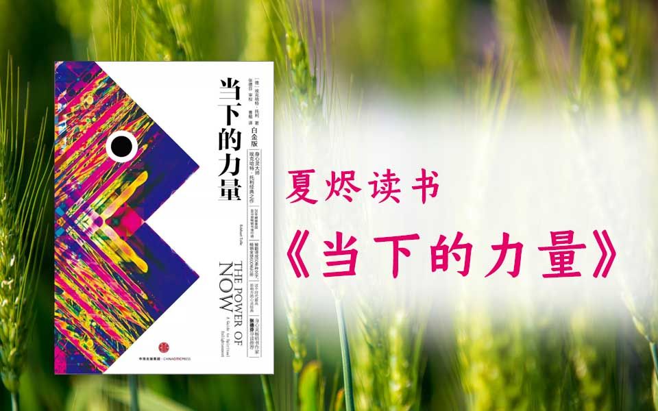 No.09《当下的力量》逐章细讲，对抗焦虑等负面情绪（已完结）