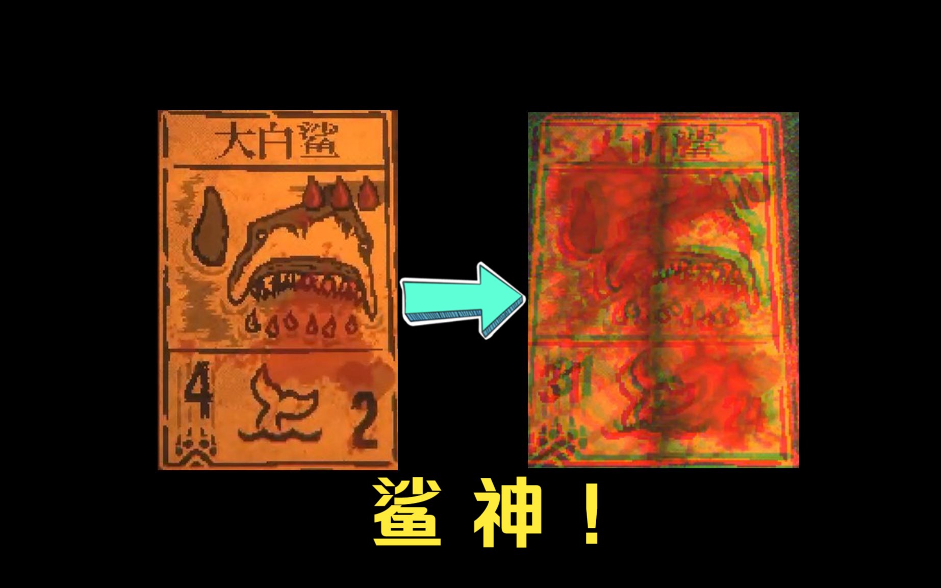 鲨 神 !