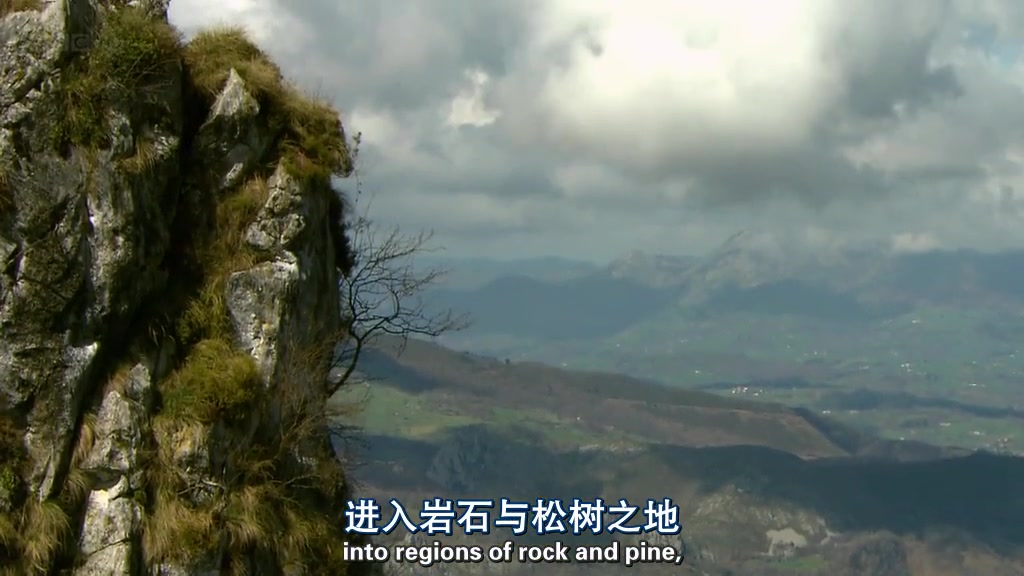 里克·斯坦西班牙美食游