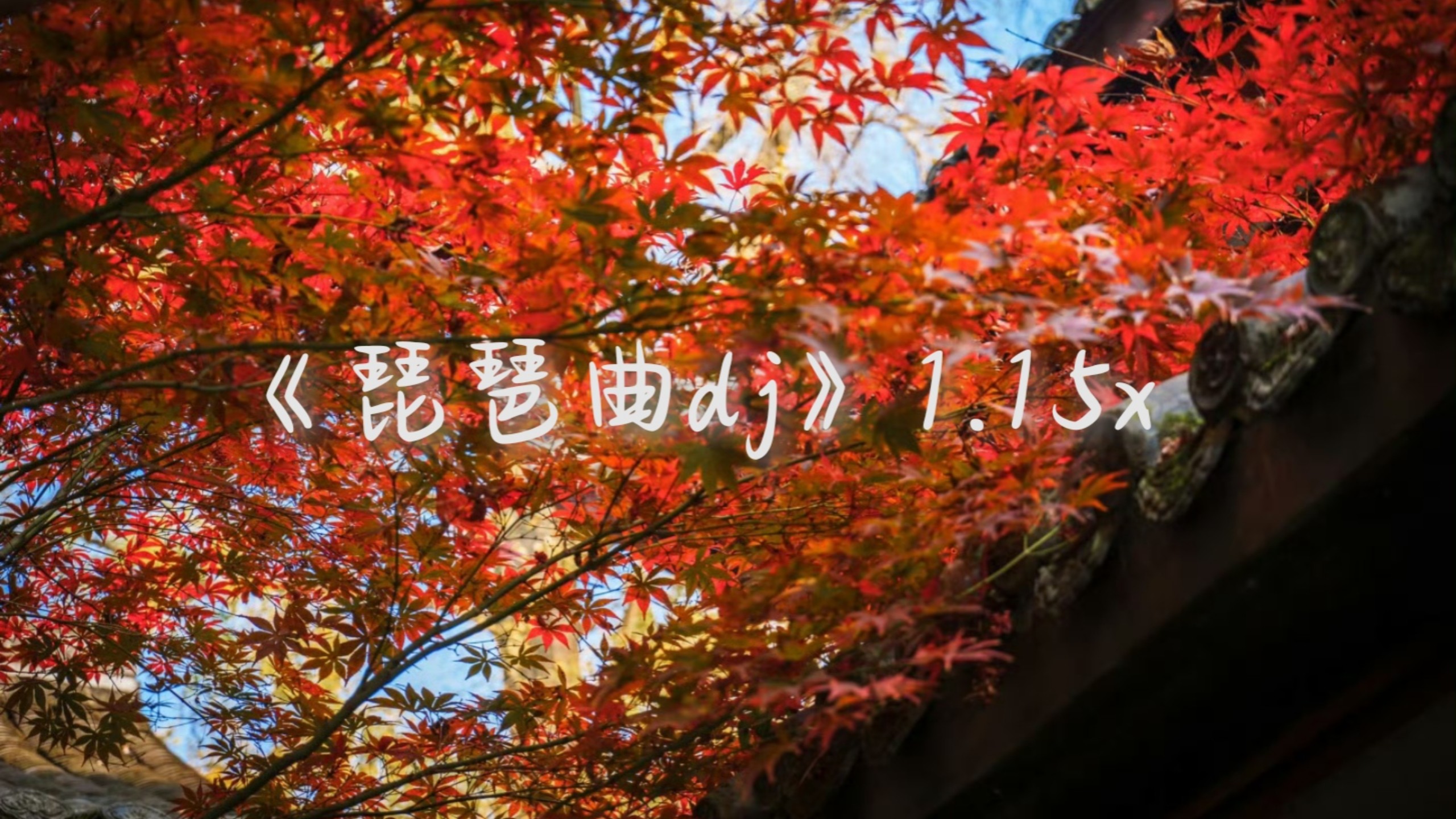 "人间琴悠扬，姑娘把谁记心上"|《琵琶曲dj》1.1x
