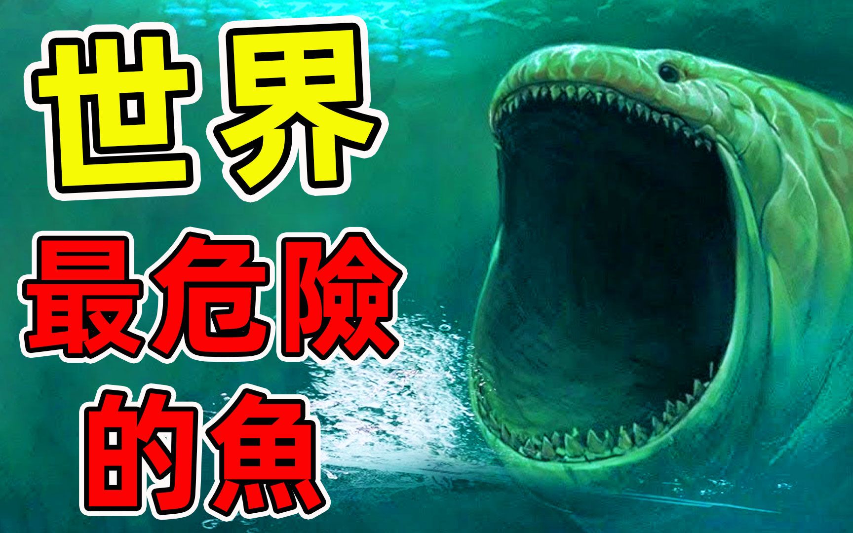 全世界10种最危险的鱼，食人鱼只能排第6，第一名是所有男人的噩梦。