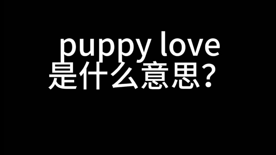 puppy love是什么意思？