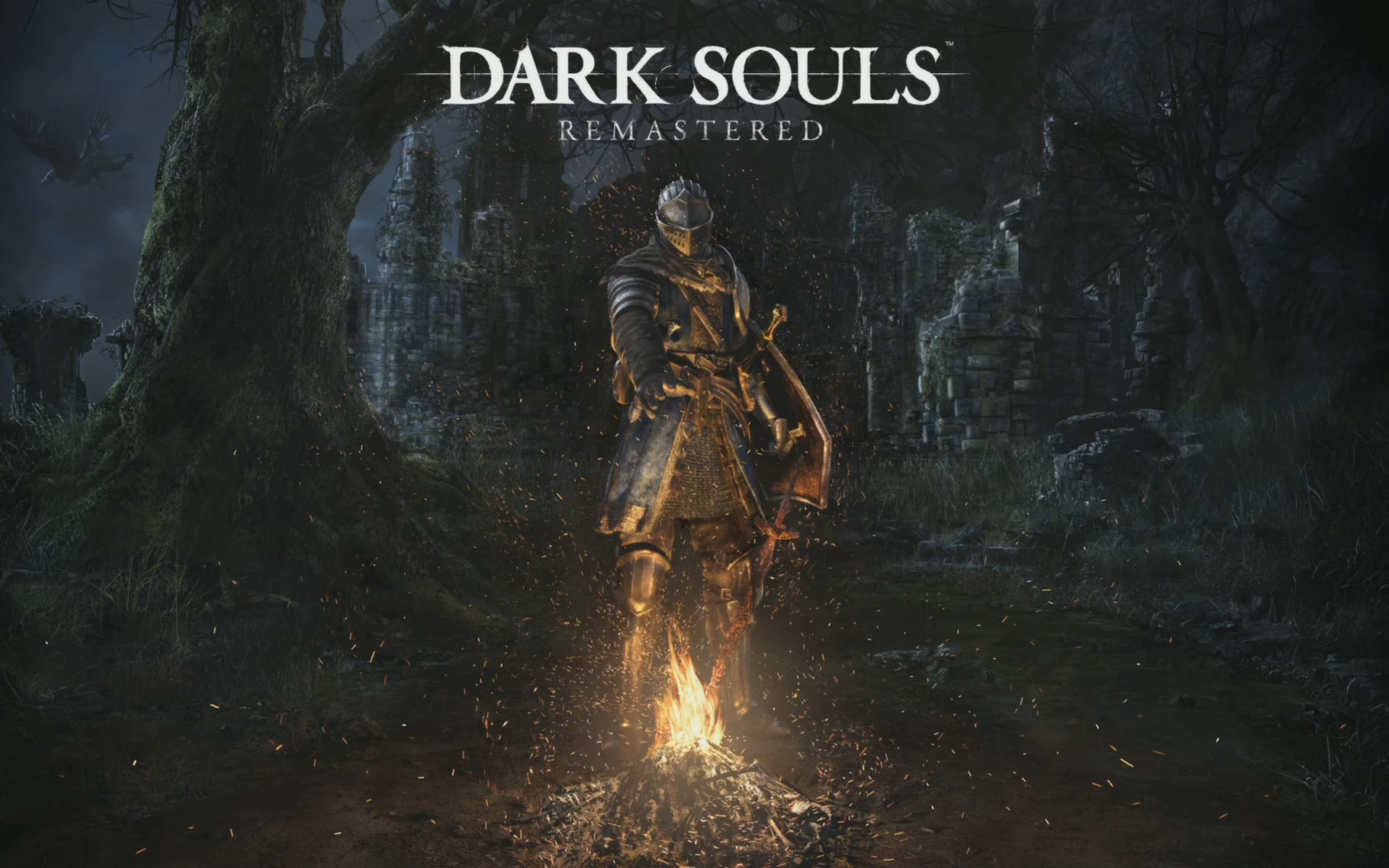 黑暗之魂重制版 (Dark Souls Remastered) 流程解说攻略（更新到第十二期）