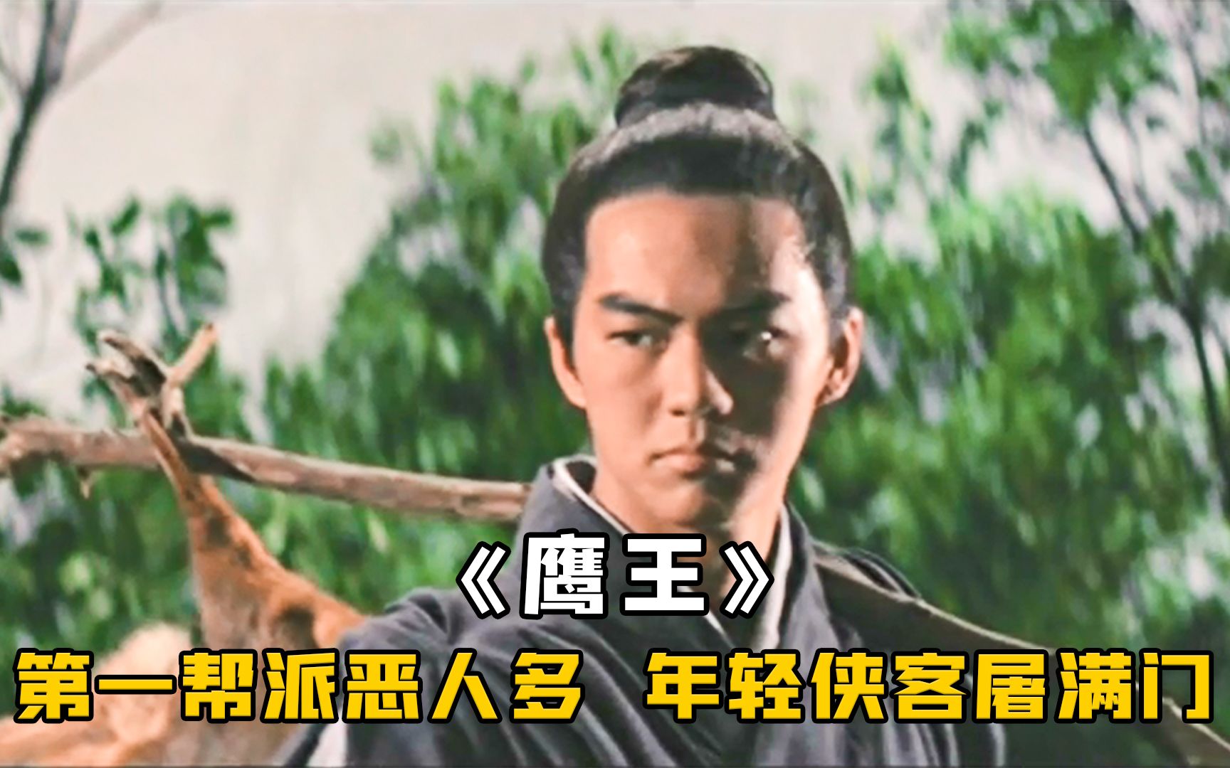 昔日好友全被杀，隐居侠客一怒之下，抬手灭掉天下第一门派《鹰王》