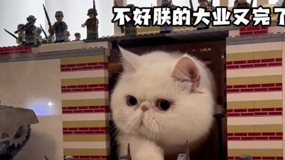 童童：不是说好的碰碰车吗？你怎么开出坦克来了!
