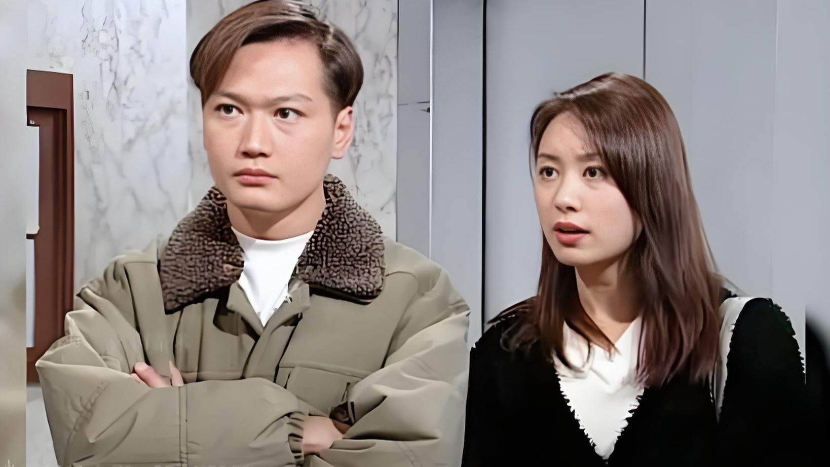 【刑事侦缉档案】4K高清 全20集  陶大宇 郭可盈 梁荣忠 苏玉华 林漪娸 陈启泰  古天乐 陈锦鸿