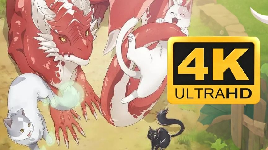 【4K超高清】「猫与龙」全12话 未删减版