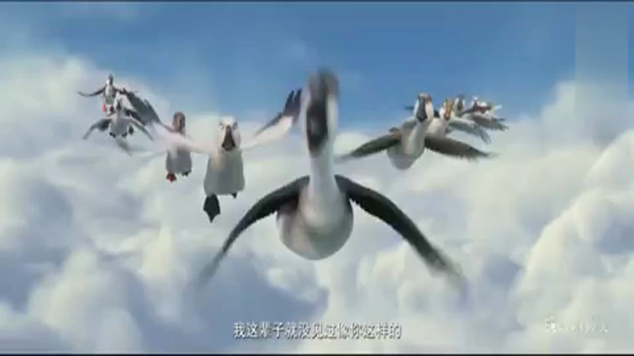 [妈妈咪鸭]小鸭子找大鹏做妈妈