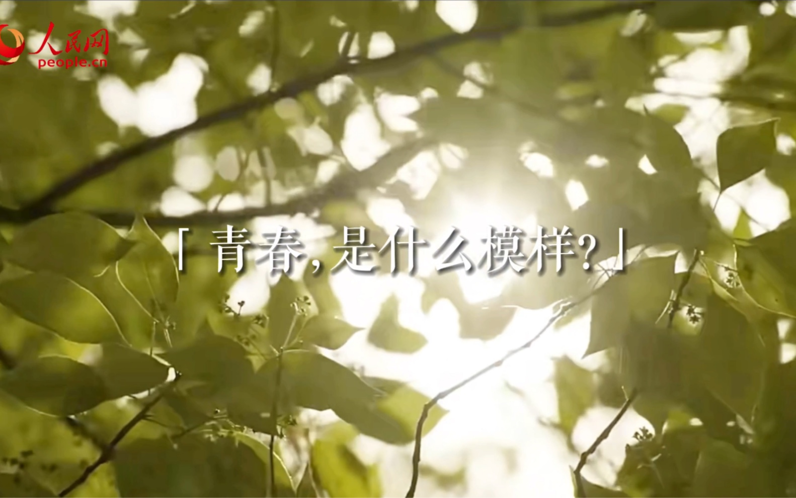 青春，是什么模样？