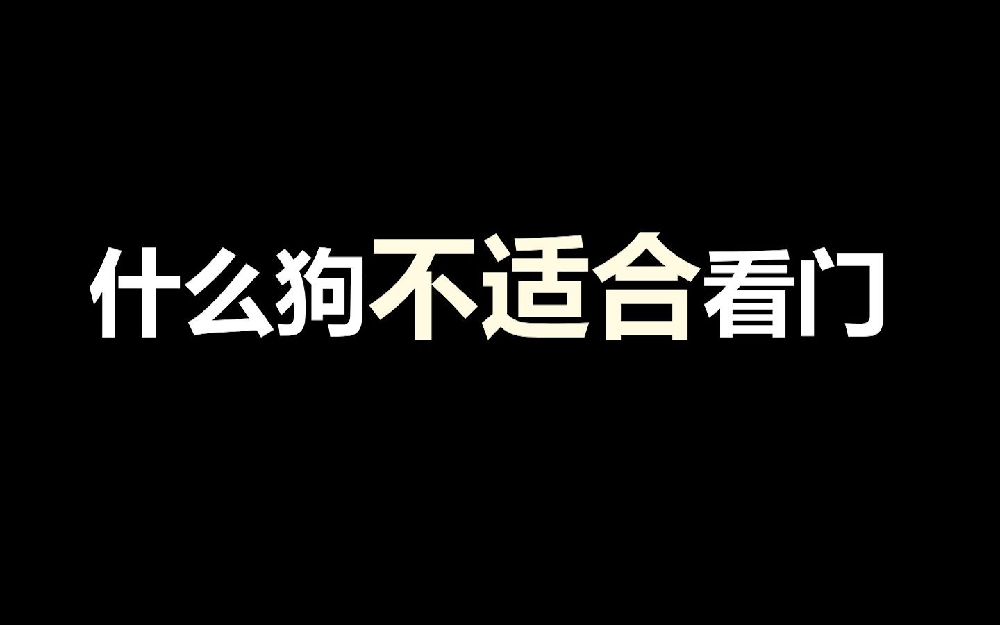 宠物冷知识：什么狗不适合看门，最后一个慎养嗷，别真豪宅变凶宅了