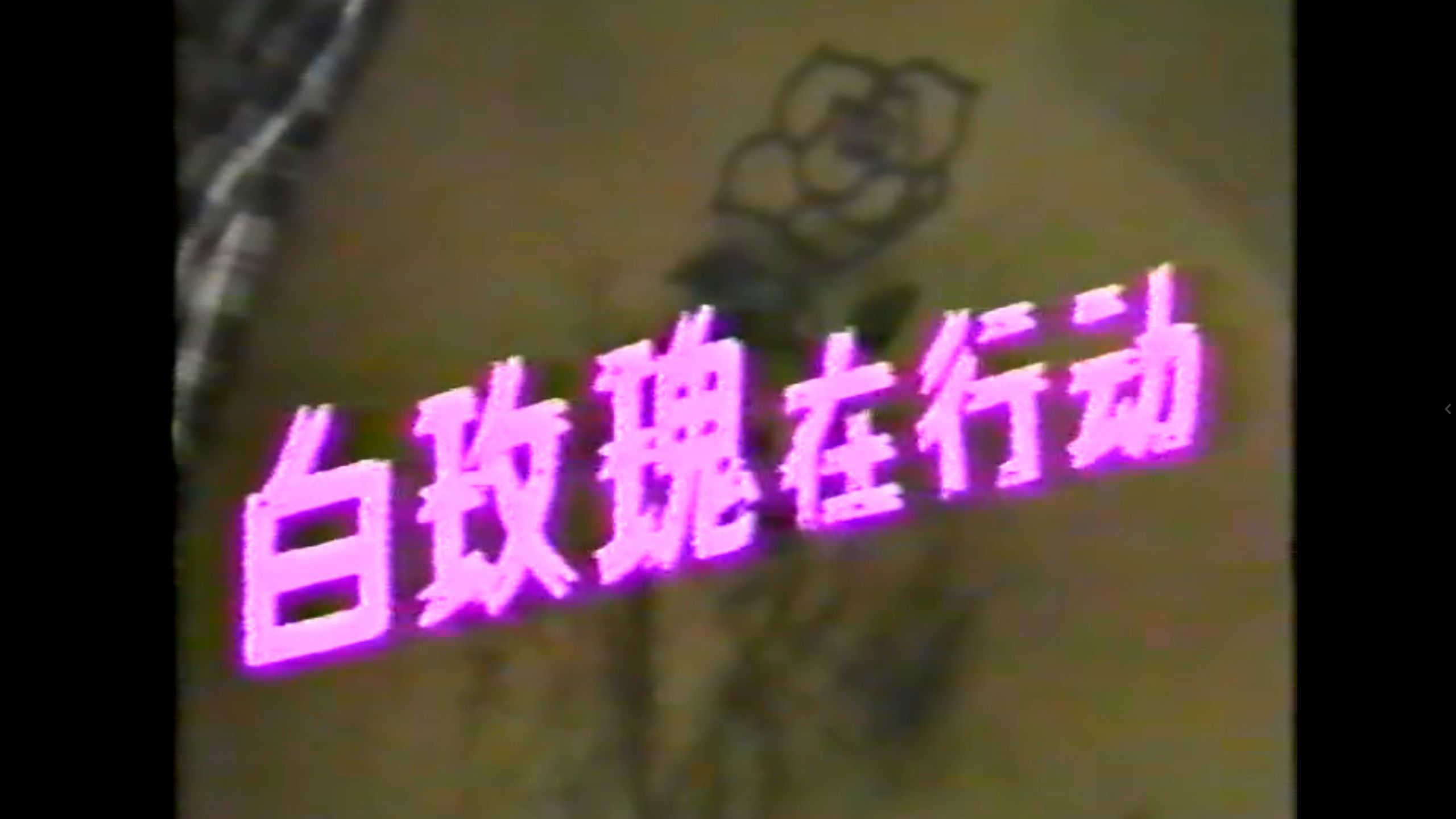白玫瑰在行动（1989）