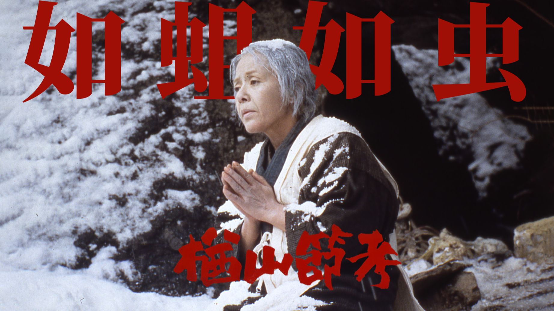 细读经典，震撼日本文坛的新人之作《楢山节考》！深泽七郎击碎人心的残酷物语！动物般活着，生如蛆死如虫