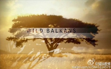 PBS：野性的巴尔干 Wild Balkans 【2010】【纪录片】【美国】
