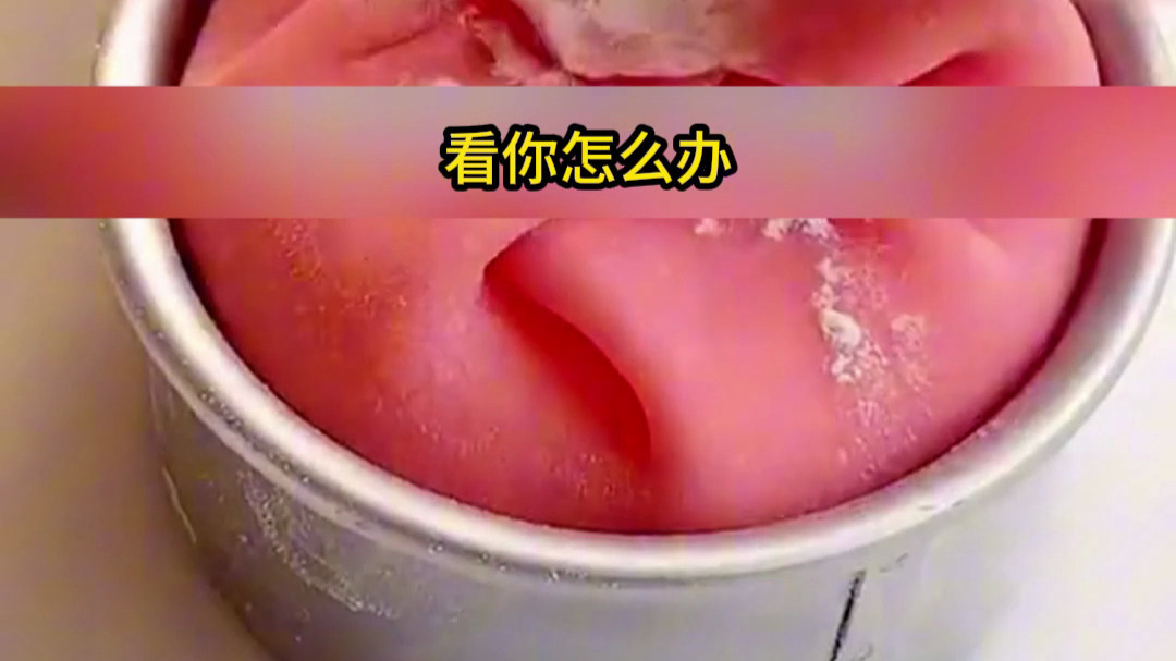 一口气看完《重生不爱》完结版