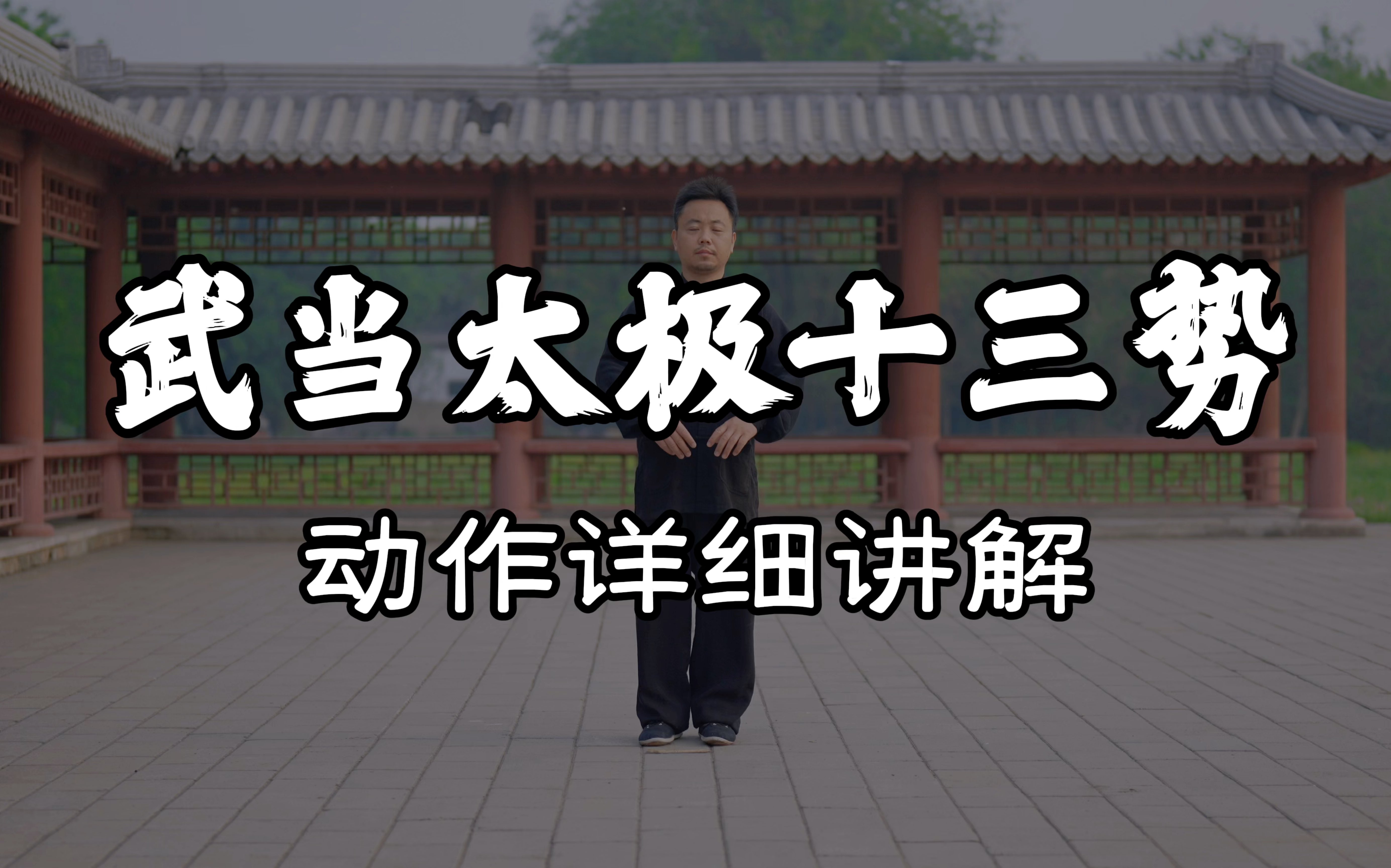 武当太极十三势动作详细讲解