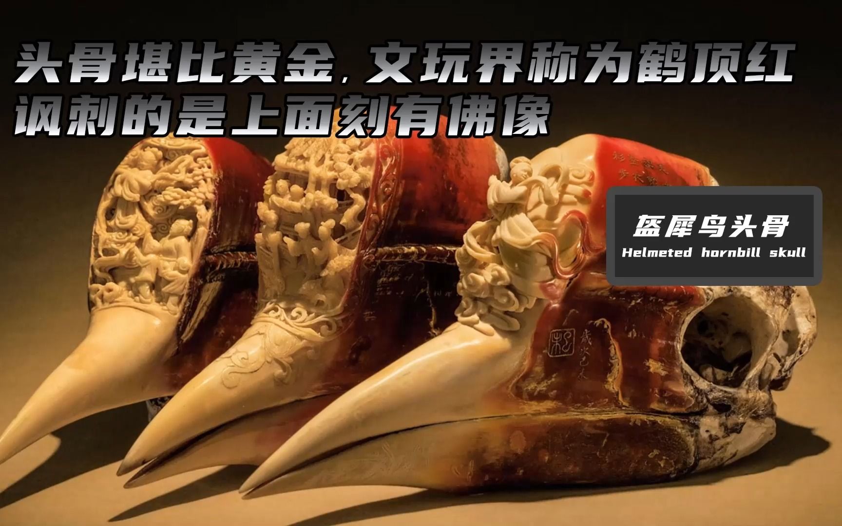 头骨比黄金还贵，文玩界称为鹤顶红，讽刺的是上面刻有佛像