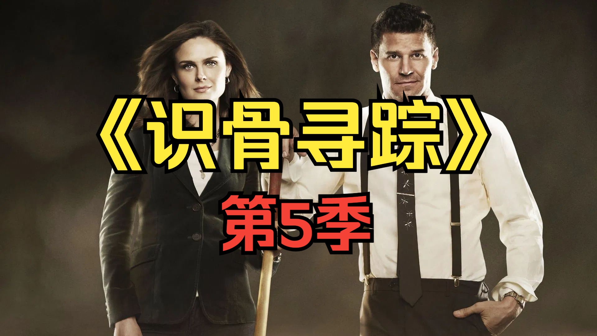 [电视剧] 2009年美剧《识骨寻踪》第5季 (Bones Season 5)「共22集」