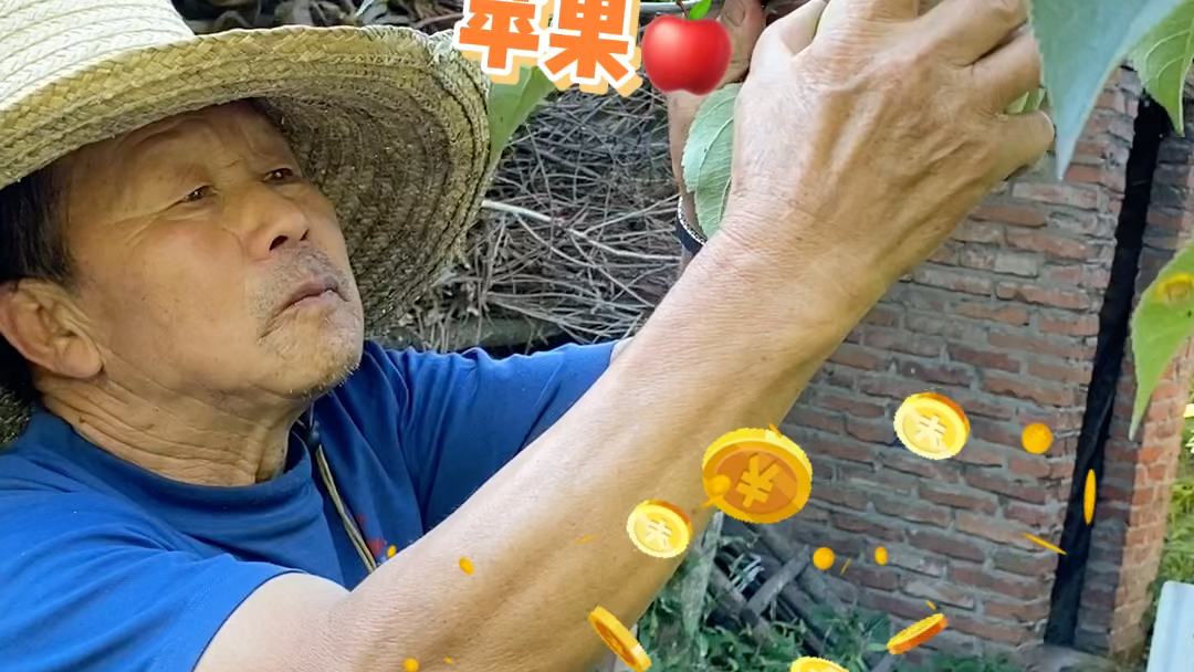 婚后婆家娘家近有多爽