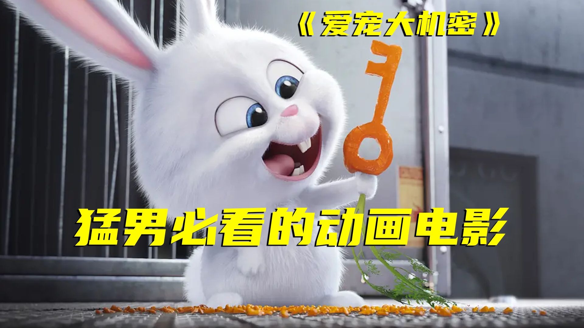 猛男必看榜排名第1！主角光环也抵挡不了黑道大佬的的魅力！