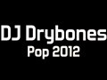 DJ Drybones 美妙混音 2012年26首欧美流行热单