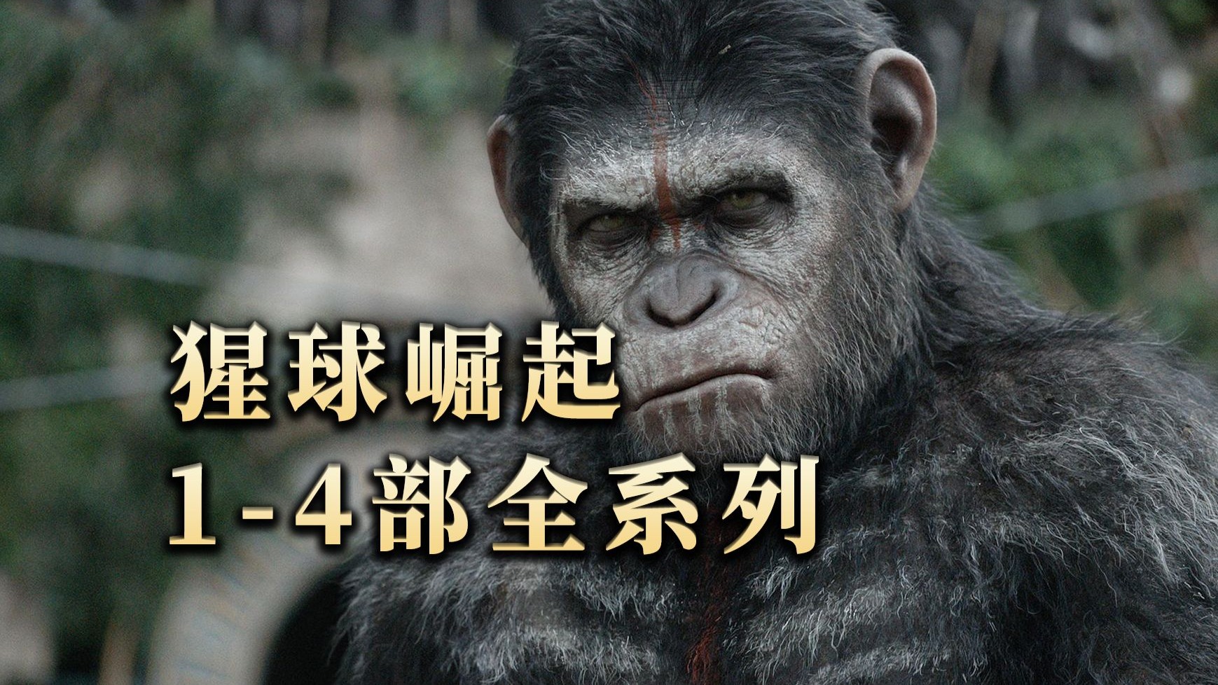 一口气120分钟，看完《猩球崛起》1-4部全系列！