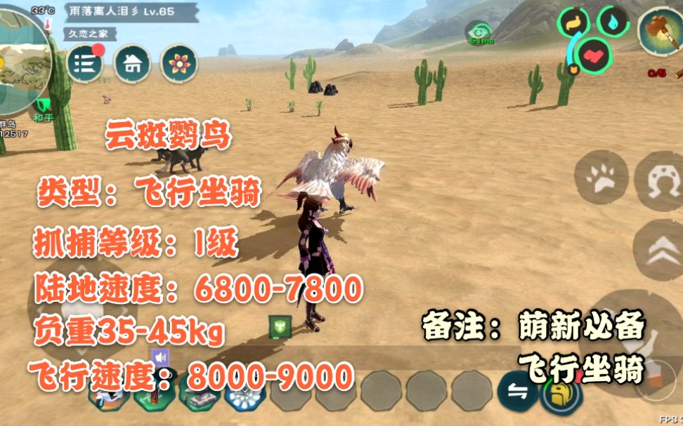 第一期:云斑鹦鸟的小秘密