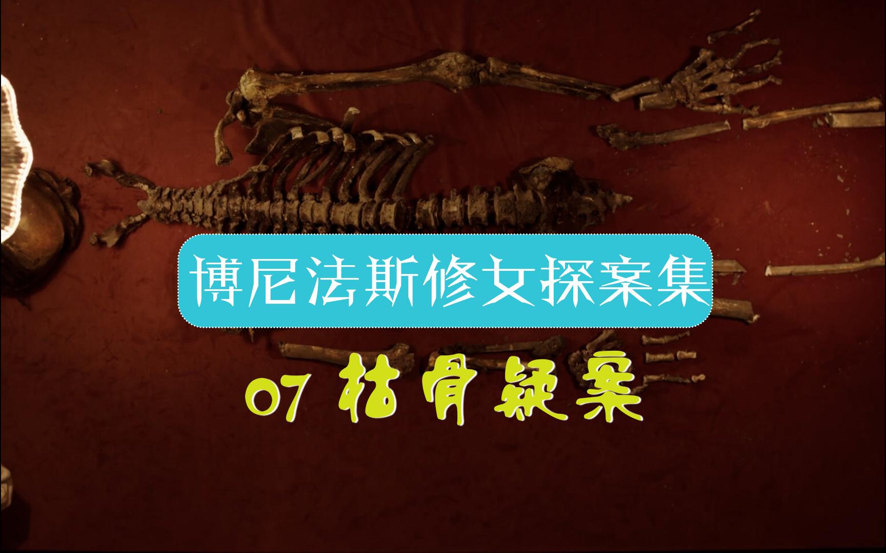 【汪汪】西葫芦大赛发现遗骸，科搜研之修女又是拼骸骨又是测土壤，成功缉凶，《博尼法斯修女探案》第一季第7集