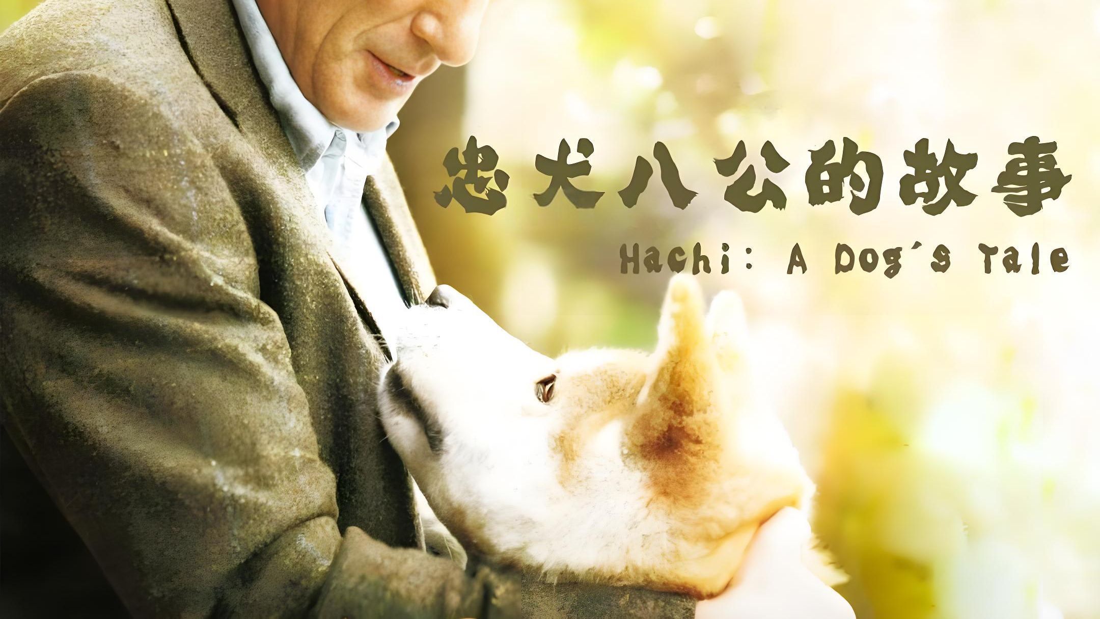 《忠犬八公的故事》9.4分  欧美经典催泪神作 4K完整版
